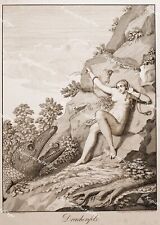 Drachenfels Rheinland Rhein