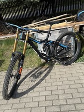 Giant Glory Fox 40“