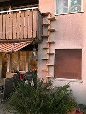 katzenleiter katzentreppe katzenwendeltreppe katzenaufstieg katzenstiege