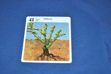 Pflanzenschnitt-Karte