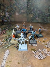 Diverse Piraten (Freebooters