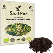 Bio Keimsaat Brokkolisamen Brokkoli Raab Brokkoletti Keimsprossen Samen EU Öko
