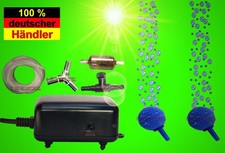 Aquarium-Deko 2er ❤️