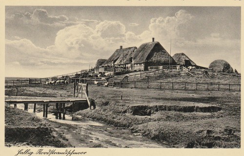 Nordstrand hallig 1930 - hallig, um