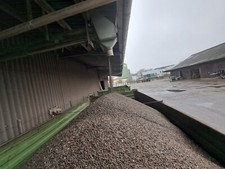 Schwarze Sonnenblumenkerne 15kg, Regional, Deutschland  