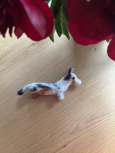Filz hund merle corgi - merle,