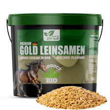 15kg Gold Gelbe TOP Leinsaat