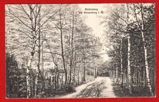 Alte AK  S/W  Strausberg