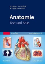 Anatomie text und atlas buch - anatomie:,