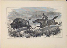 Original alter antiker Druck