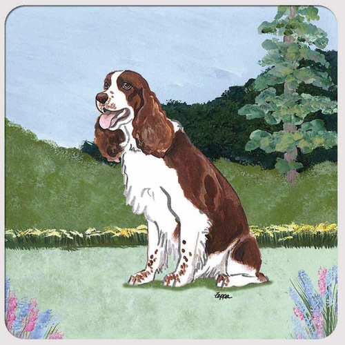 Springer spaniel untersetzer - springer,