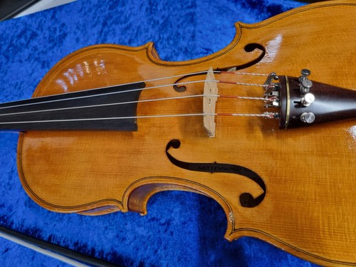 Viola bratsche gelabelt - viola,,