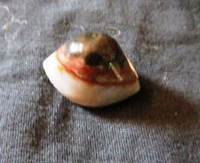 ShivaAuge Achat Augenachat von