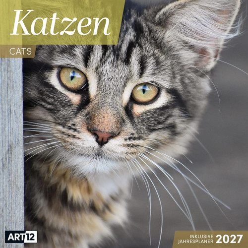 Katzen kalender 2027 30x30 - katzen,