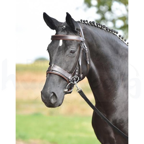 Busse kappzaum fit pro - busse,