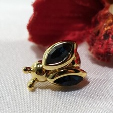 Pierre Lang Pin Käfer Insekt