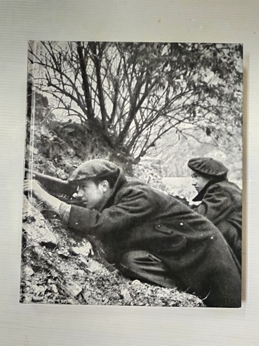 Der zweite weltkrieg - weltkrieg,