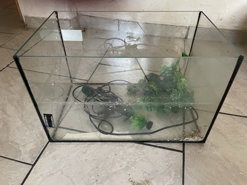 Glasaquarium mit zubehör - mit,