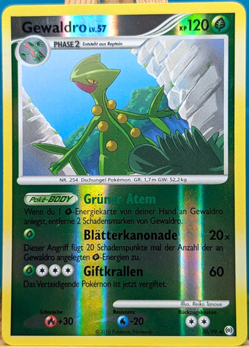 Pokemon arceus gewaldro lv - pokemon,