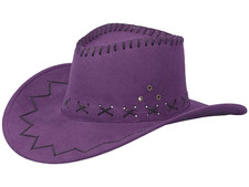 Western cowboy hut - western,
