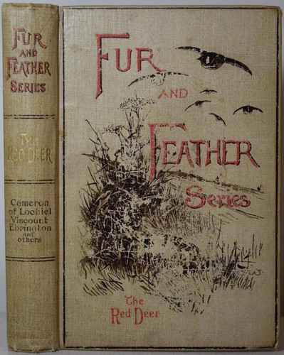 Fur feather red deer - fur, 1896