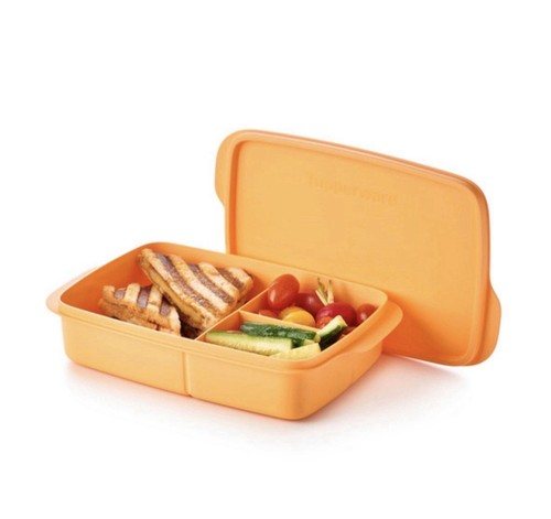 Tupperware eco snackbox - tupperware,