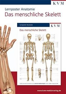 Anatomie lernposter das - anatomie,