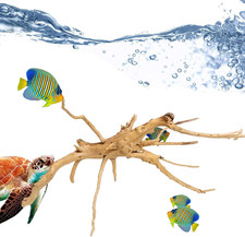 Treibholz, Stamm zur