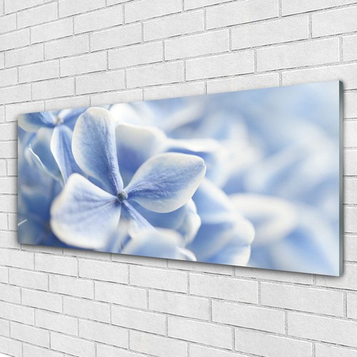 Glasbilder wandbild druck auf - glasbilder,