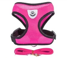  Brustgeschirr + Leine für