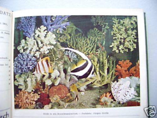 Aquarien terrarienzeitschrift - aquarien-,