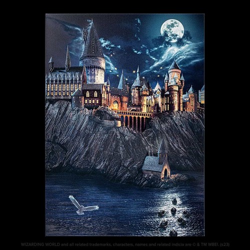 Displate back hogwarts - back,