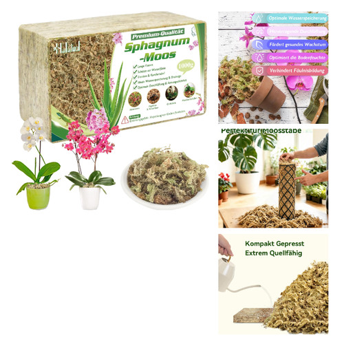 Sphagnum moos 1000g für - sphagnum,