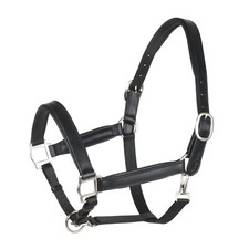 BergReiter Lederhalfter