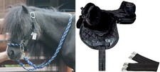 Shetland pony shetty - pony,
