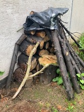 Brennholz kaminholz stammholz - brennholz,