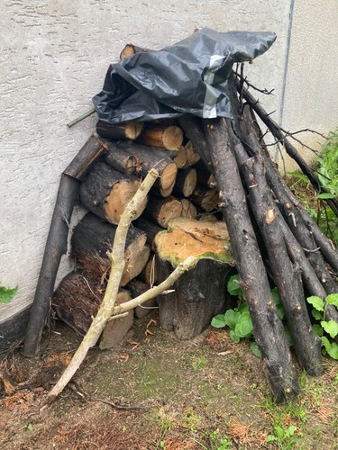 Brennholz kaminholz stammholz - brennholz,