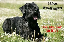 Riesenschnauzer SCHNAUZER - A4