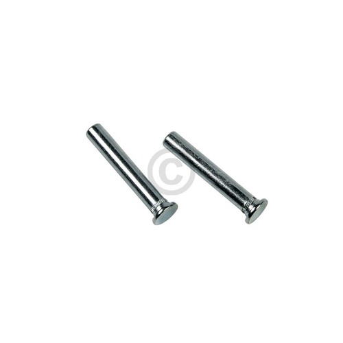 Stk scharnierstift - [12,45,