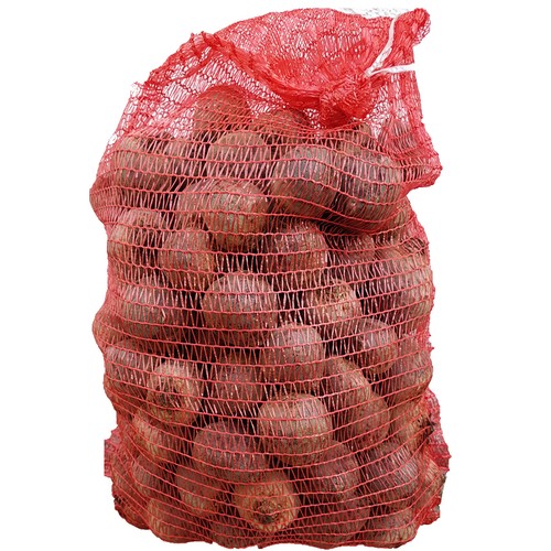 Rote bete knollen 15kg - knollen,