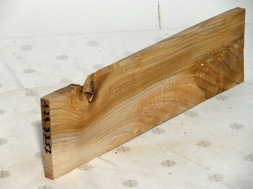 Ulme rüster holz - rüster, bastelholz