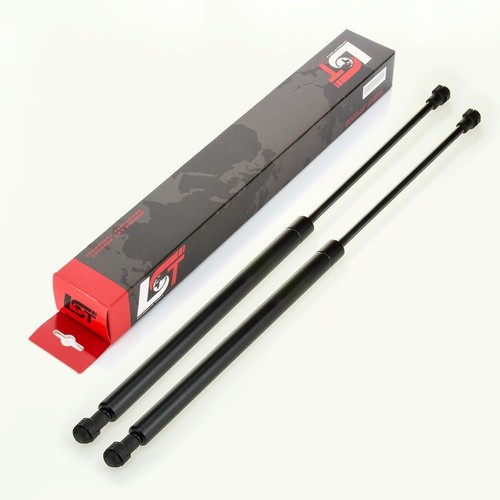 Gasfeder - 2x,