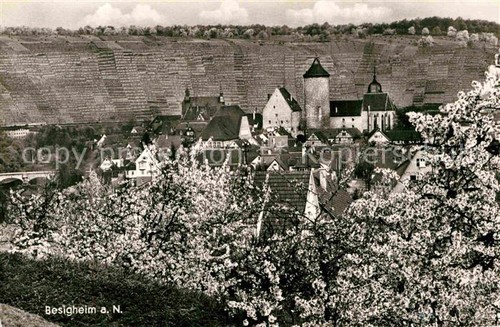Besigheim panorama - besigheim,