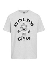 Golds Gym "Classic Joe" Sport T-Shirt Light Grey Melange