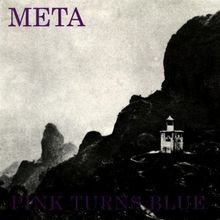 Meta von Pink Turns Blue | CD | Zustand gut