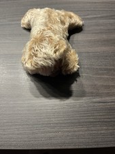 Schlaf Teddy Von Steif