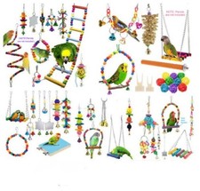 Haustier Vogel Papagei Sittich