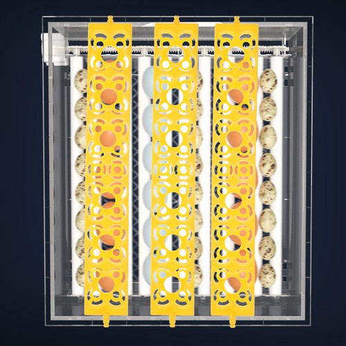 Brutkasten für hühnereier - für,