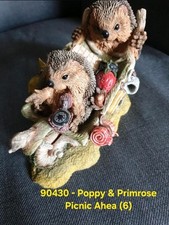 Country Artists Hedgie Igel