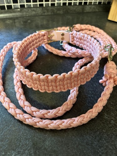 Paracord leine und halsband - leine,